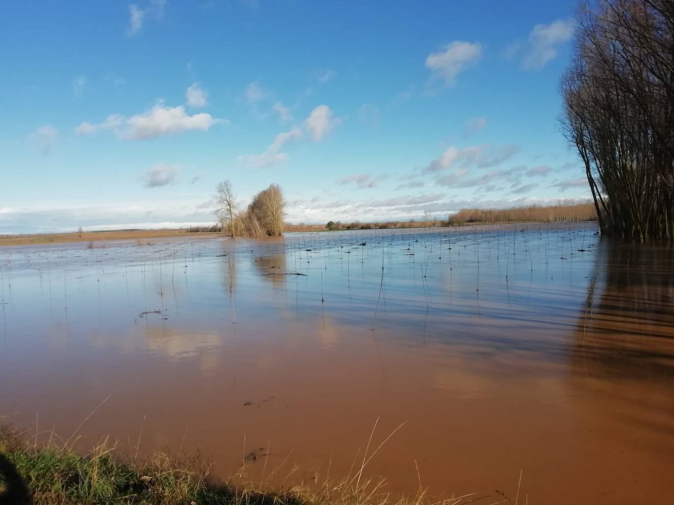 El río Cea a su paso por Melgar de Abajo