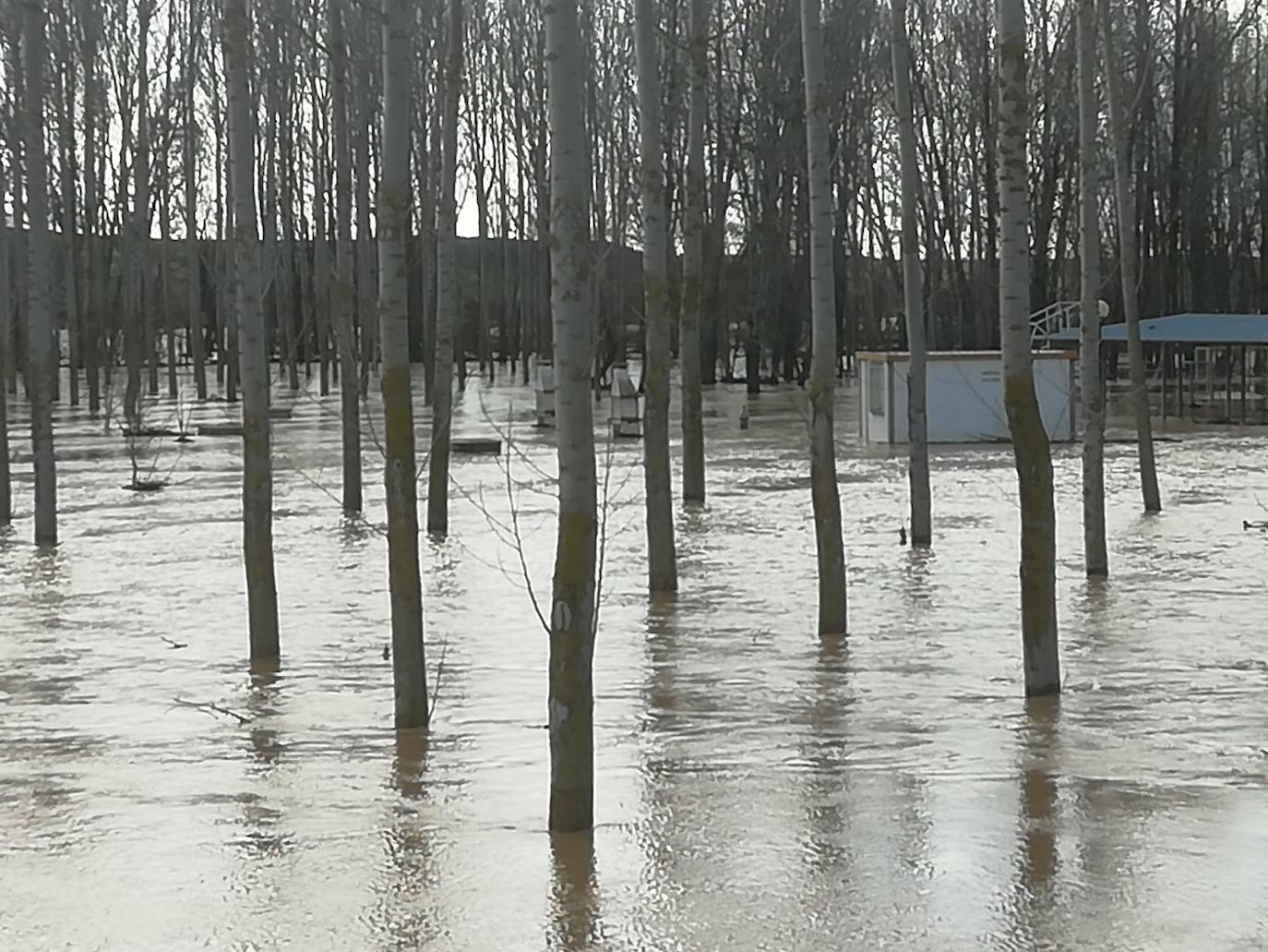 El río Cea a su paso por Melgar de Abajo