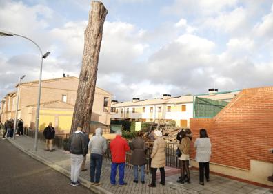 Imagen secundaria 1 - Los vecinos del municipio se acercaron para ver el pino derribado. En la última imagen, así era el Macareno, símbolo de Peñafiel