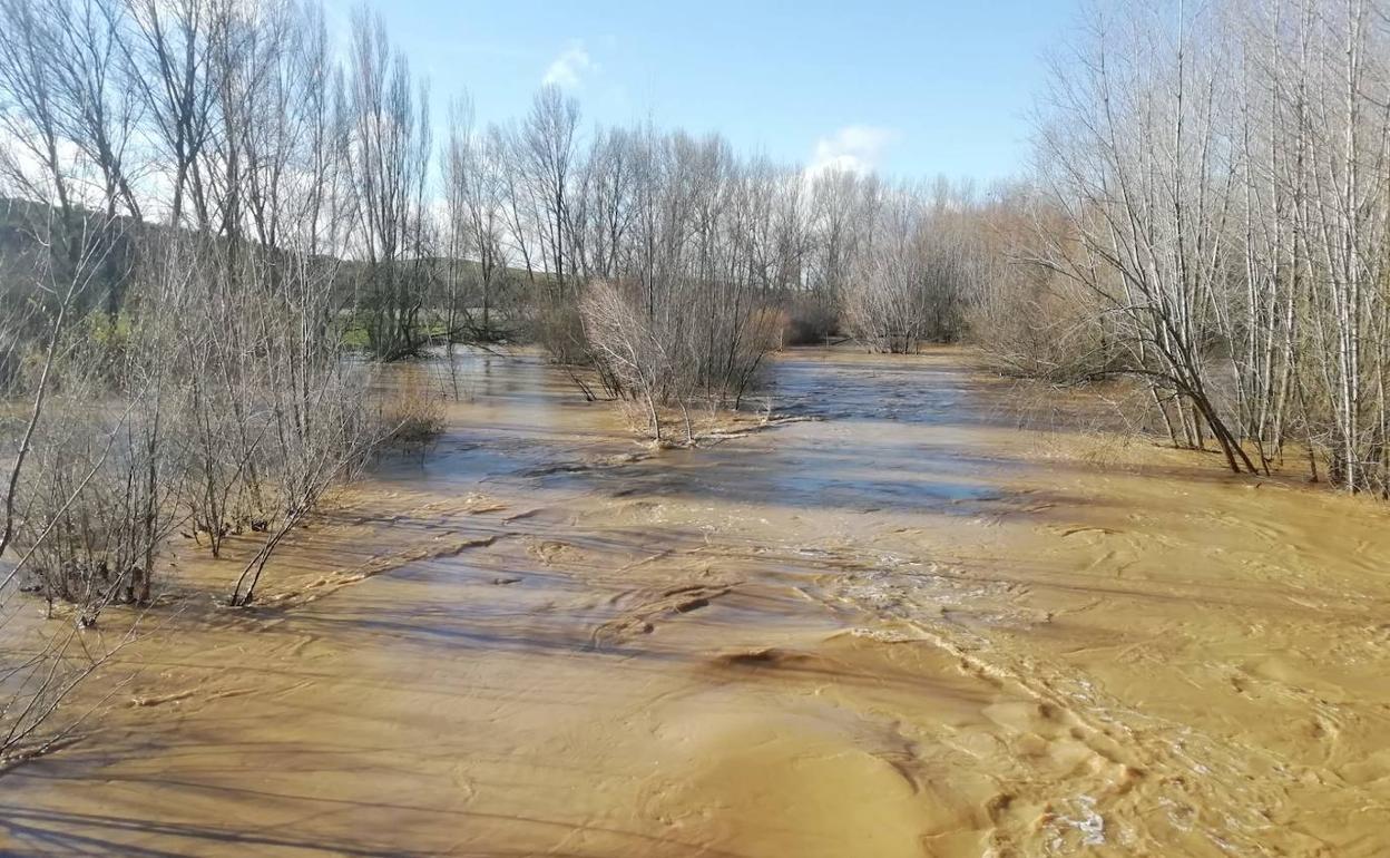 El río Cea a su paso por Melgar de Abajo (Valladolid). 