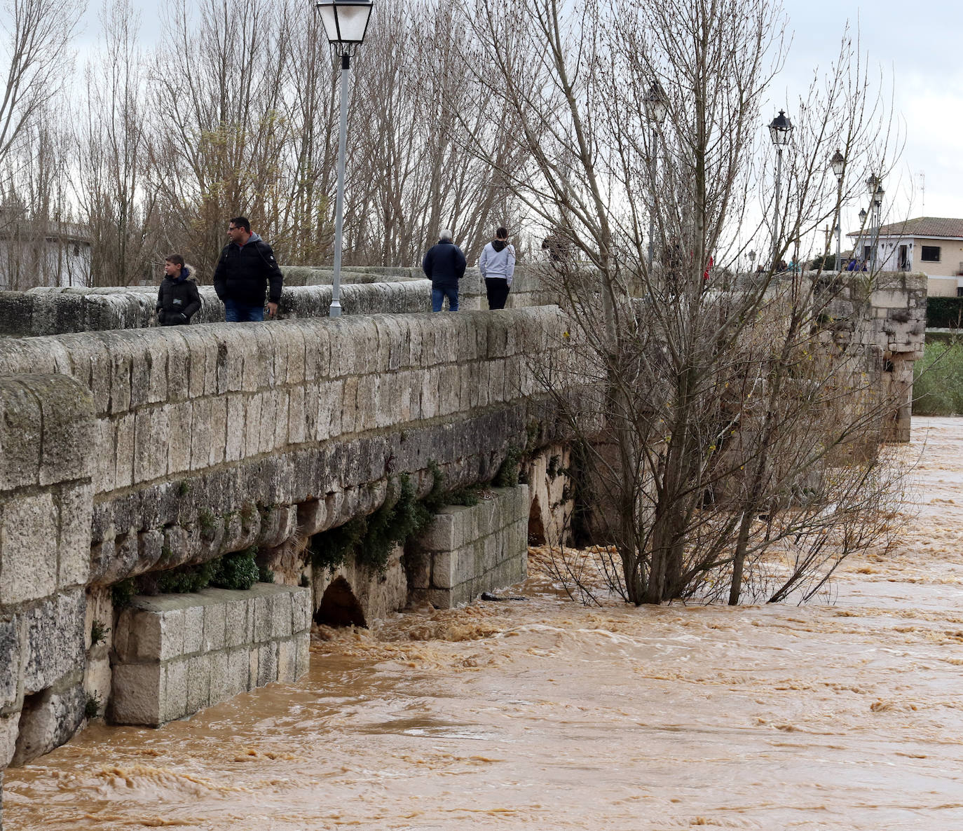 Fotos: El Pisuerga, a punto de inundar por completo el puente de Simancas