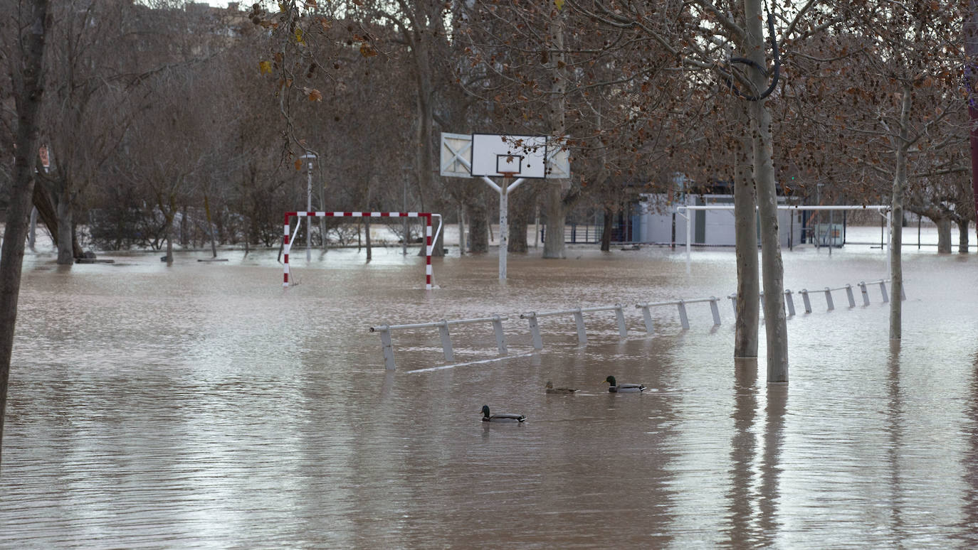 Durante este domingo el caudal fluvial del Pisuerga a su paso por Valladolid ha alcanzado los 1.190 metros cúbicos por segundo.