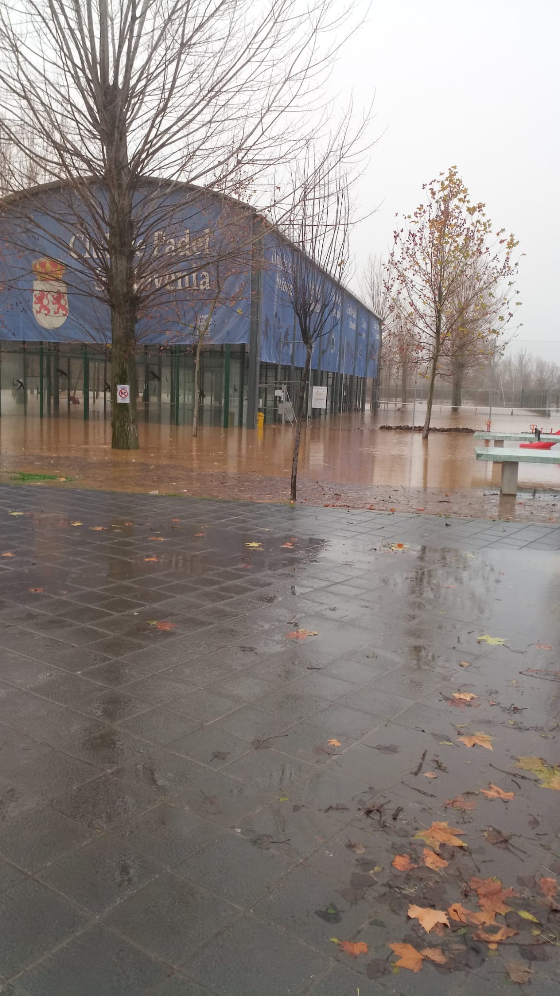 El Pisuerga a su paso por Santovenia.