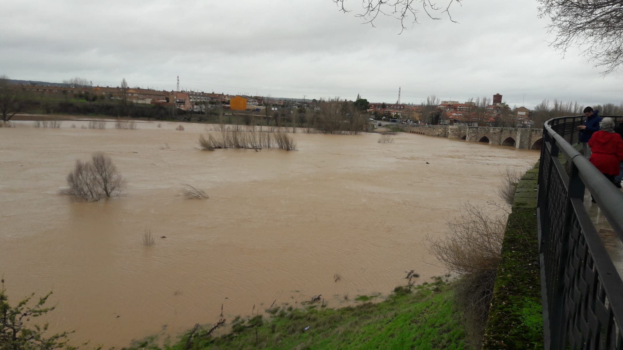 El Pisuerga a su paso por Santovenia.