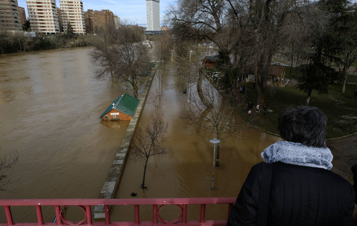 Estado del río Pisuerga a su paso por Valladolid capital este lunes 23 de diciembre por la mañana. 