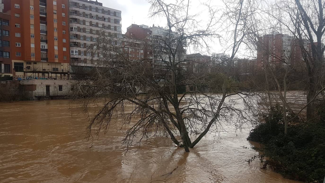 Estado del río Pisuerga a su paso por Valladolid capital este lunes 23 de diciembre por la mañana. 