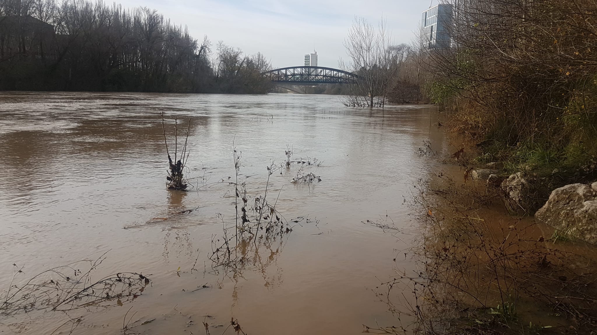 Estado del río Pisuerga a su paso por Valladolid capital este lunes 23 de diciembre por la mañana. 