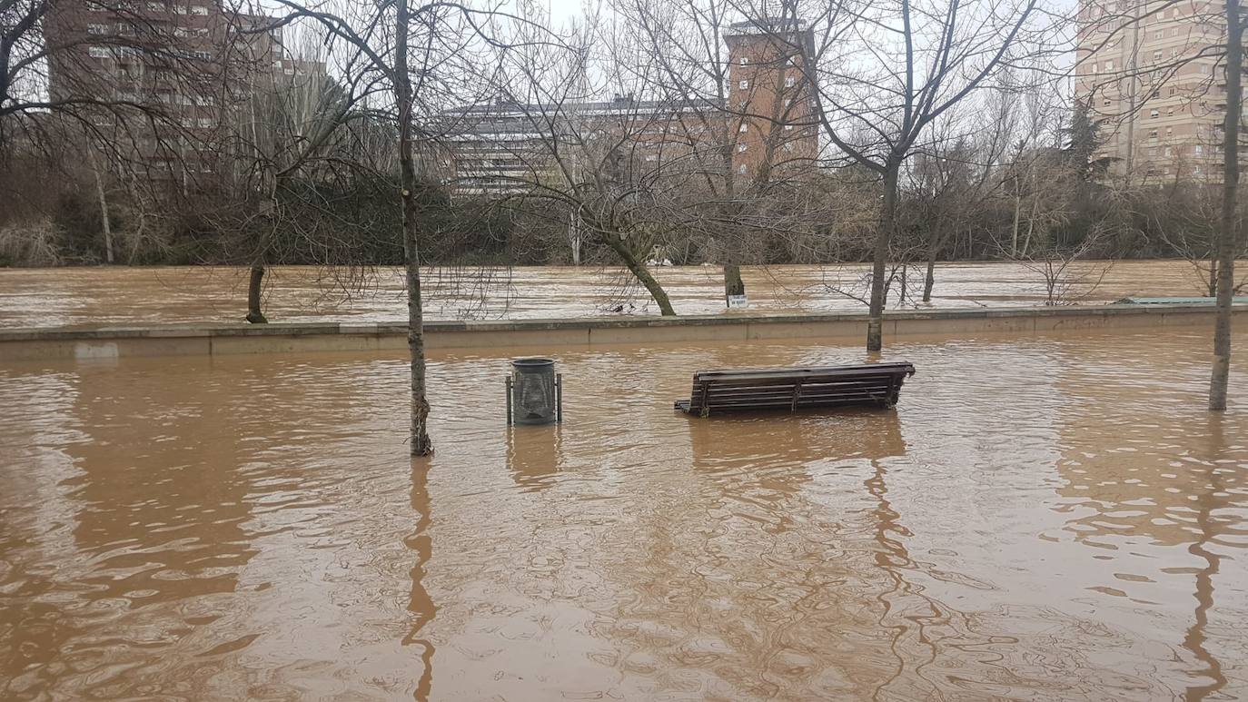 Estado del río Pisuerga a su paso por Valladolid capital este lunes 23 de diciembre por la mañana. 