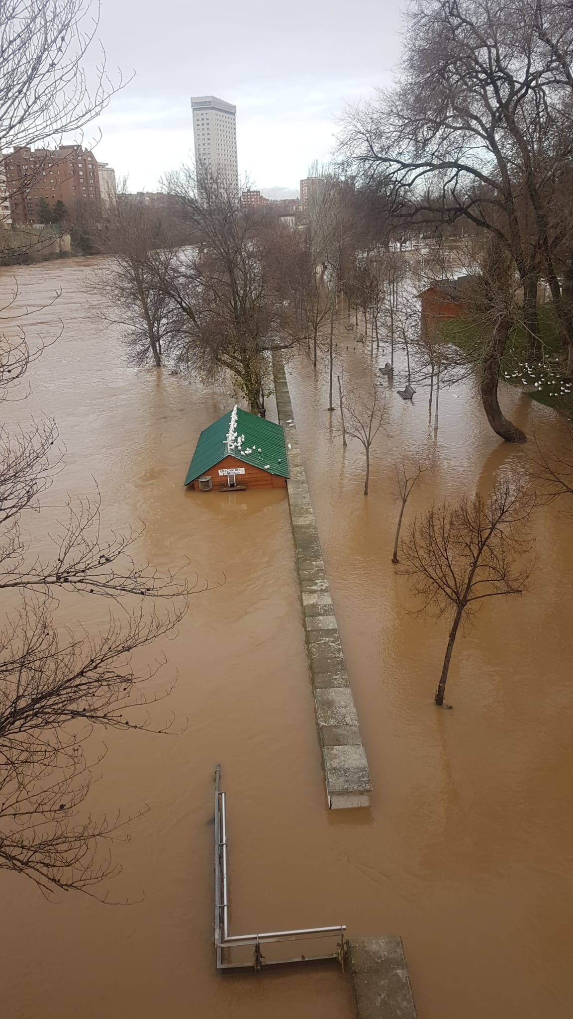 Estado del río Pisuerga a su paso por Valladolid capital este lunes 23 de diciembre por la mañana. 