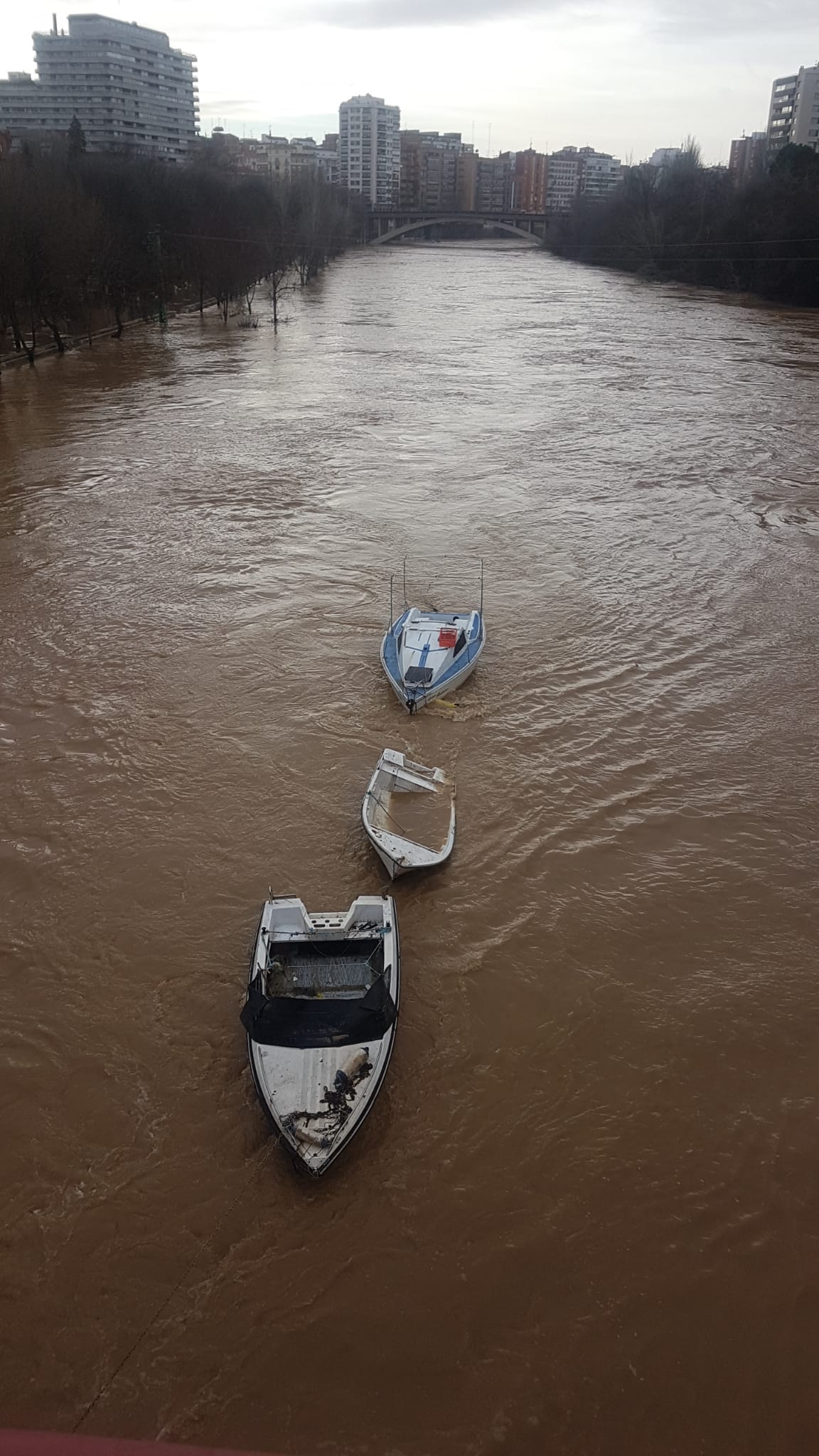 Estado del río Pisuerga a su paso por Valladolid capital este lunes 23 de diciembre por la mañana. 