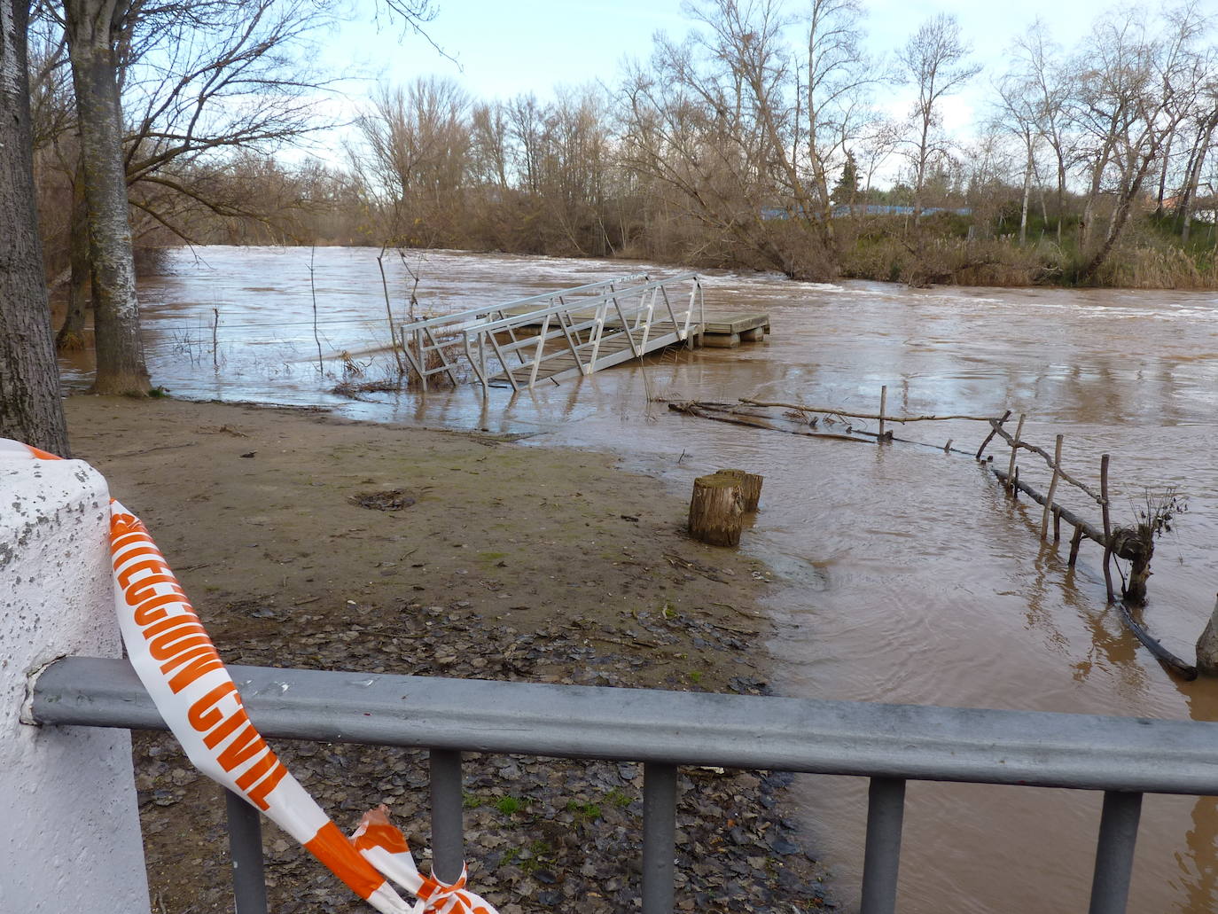 Fotos: El río Duero a la altura de Tudela el día de Navidad