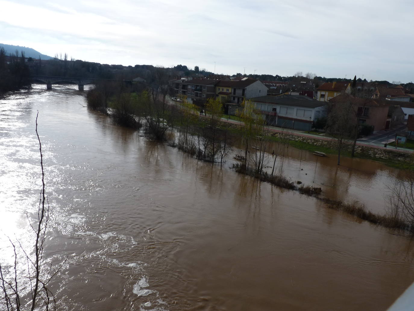 Fotos: El río Duero a la altura de Tudela el día de Navidad