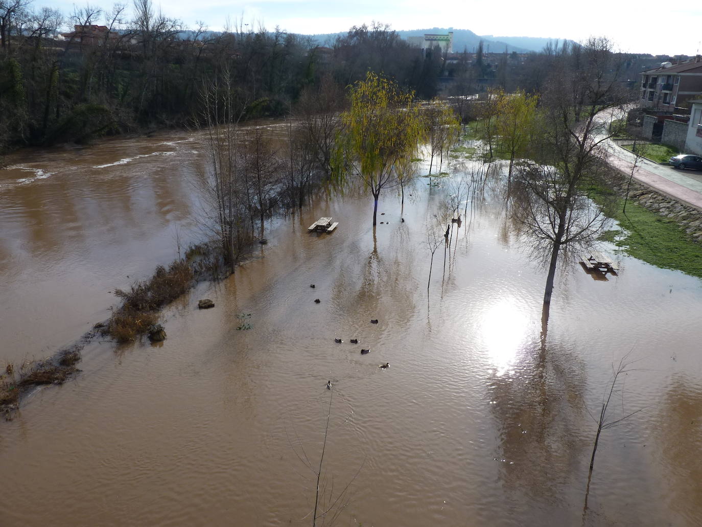 Fotos: El río Duero a la altura de Tudela el día de Navidad