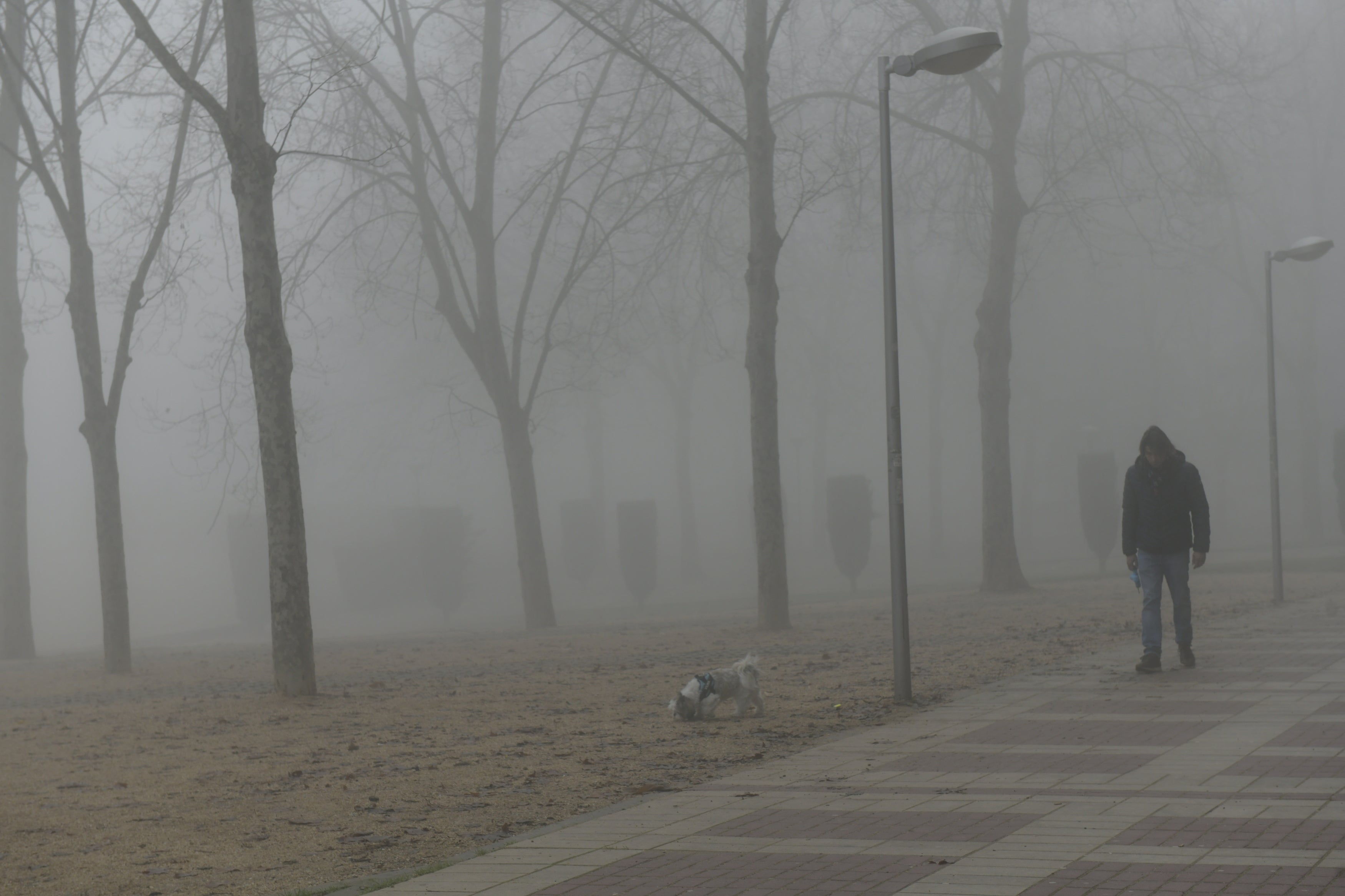 Una intensa niebla cubre toda la ciudad de Valladolid, que participa de la alerta amarilla que afecta a toda la provincia y permanecerá activa hasta las 13 horas de este lunes 30 de diciembre.