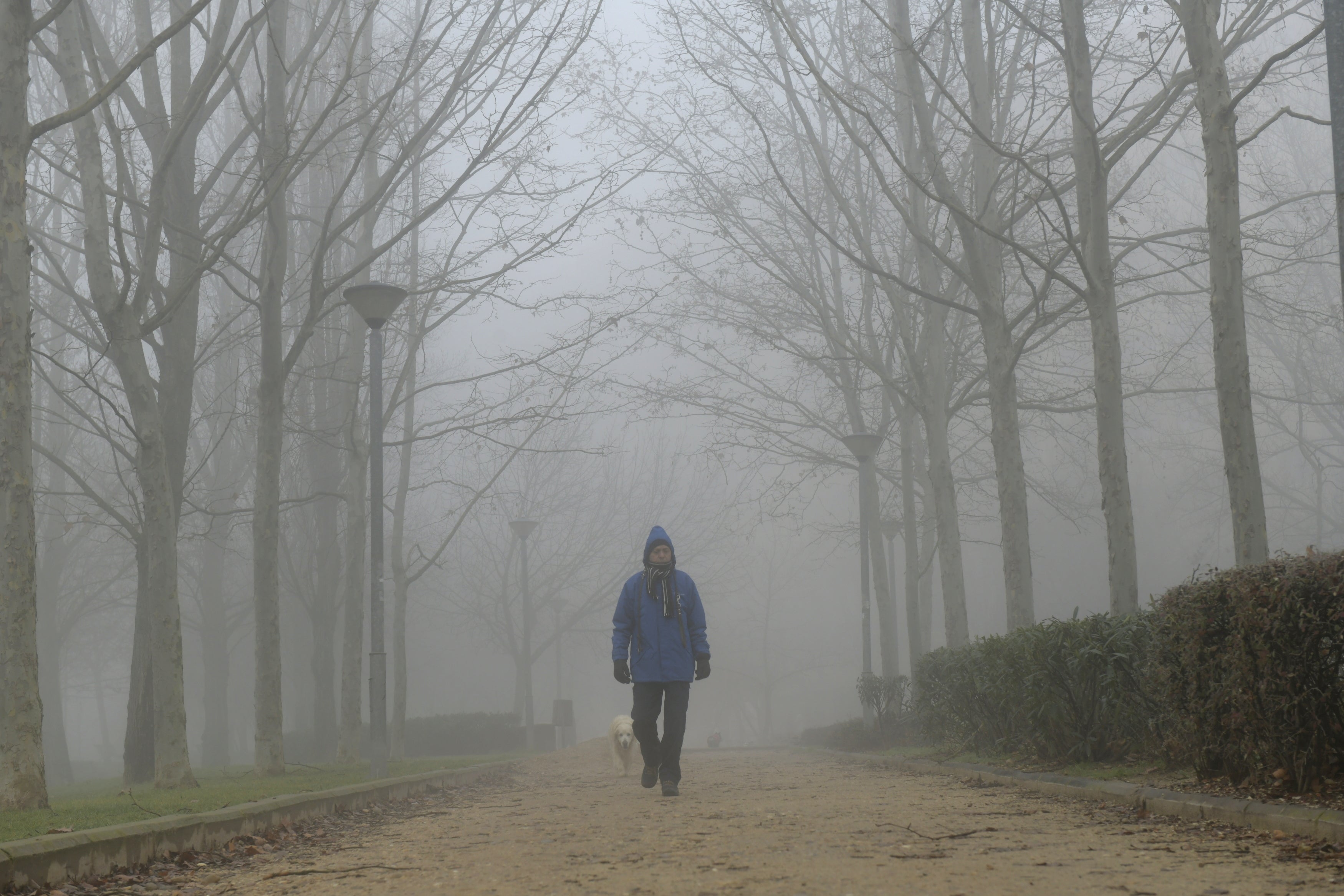 Una intensa niebla cubre toda la ciudad de Valladolid, que participa de la alerta amarilla que afecta a toda la provincia y permanecerá activa hasta las 13 horas de este lunes 30 de diciembre.