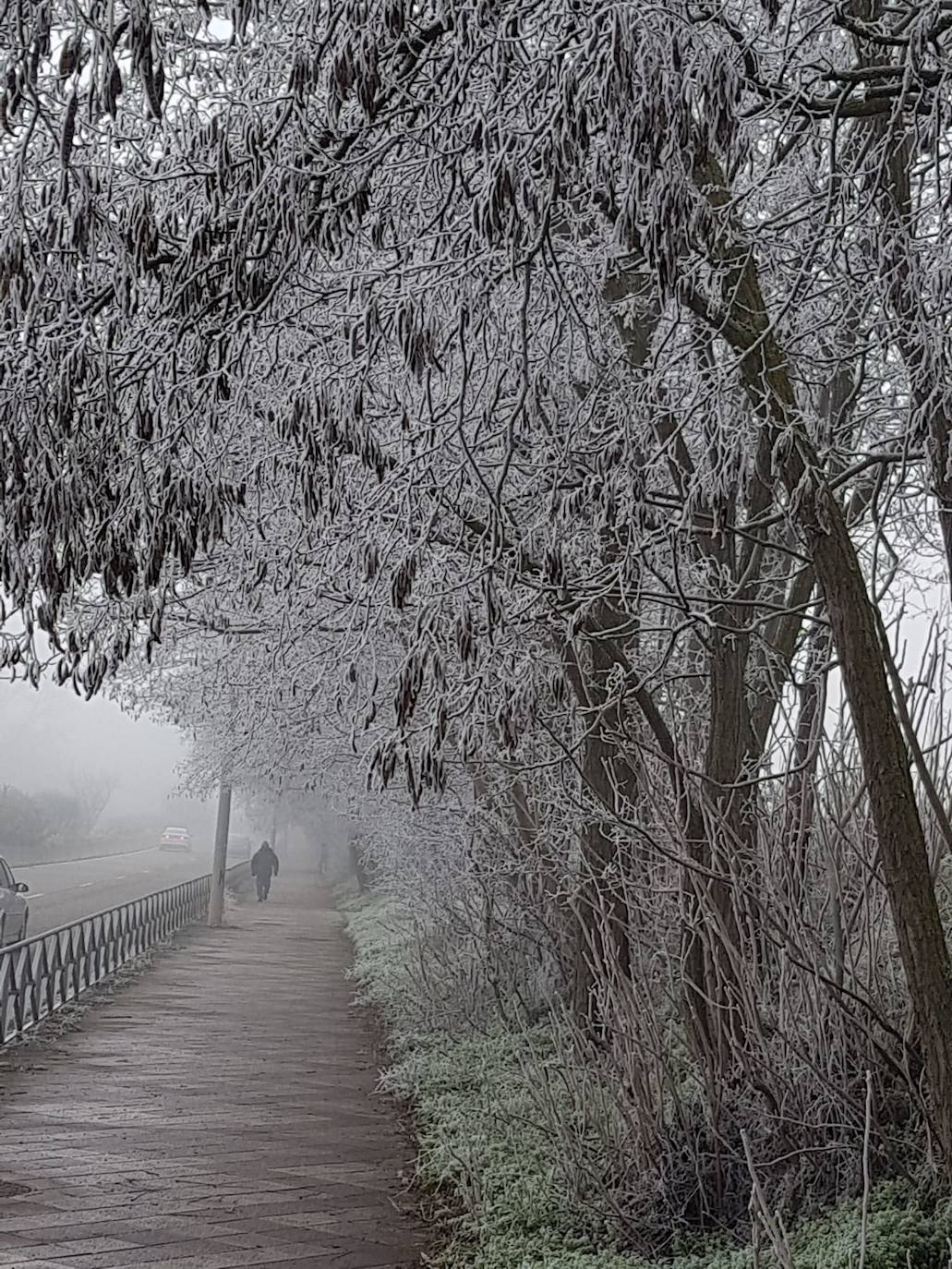 Valladolid amanece con nieba y hielo debido a las bajas temperaturas. 