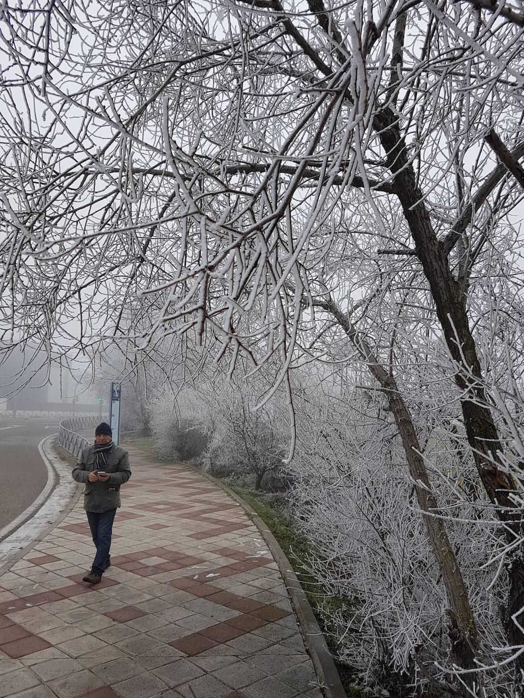 Valladolid amanece con nieba y hielo debido a las bajas temperaturas. 