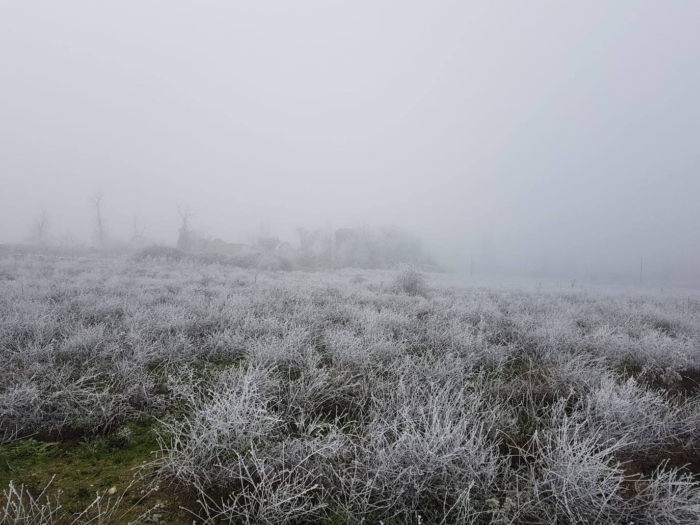 Valladolid amanece con nieba y hielo debido a las bajas temperaturas. 