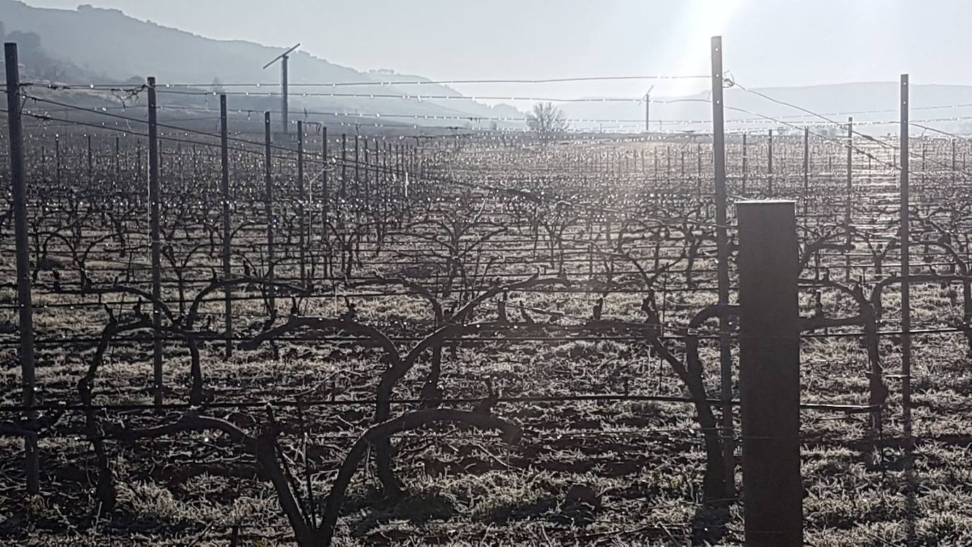 Valladolid amanece con nieba y hielo debido a las bajas temperaturas. 