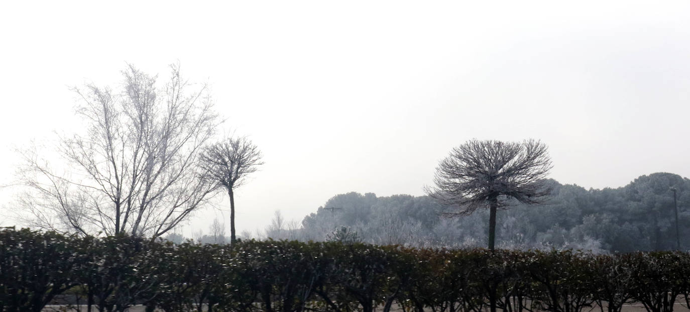 La provincia entera seguirá hoy y mañana en alerta amarilla por nieblas intensas