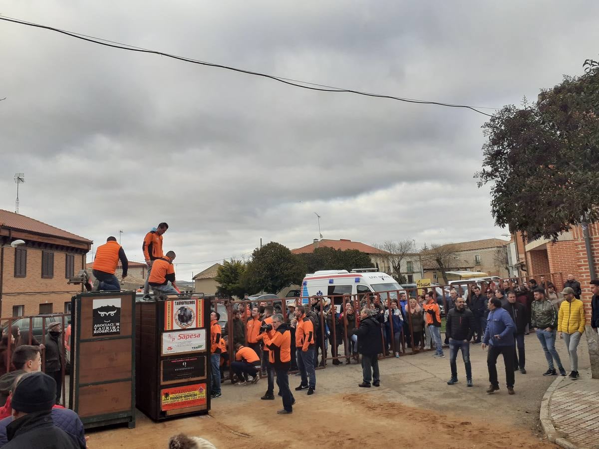Fotos: Las imágenes del encierro de Villafrechós