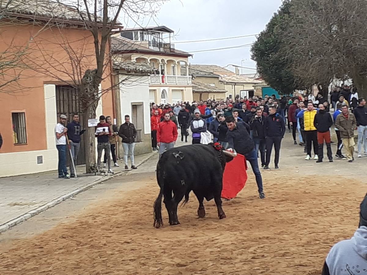 Fotos: Las imágenes del encierro de Villafrechós
