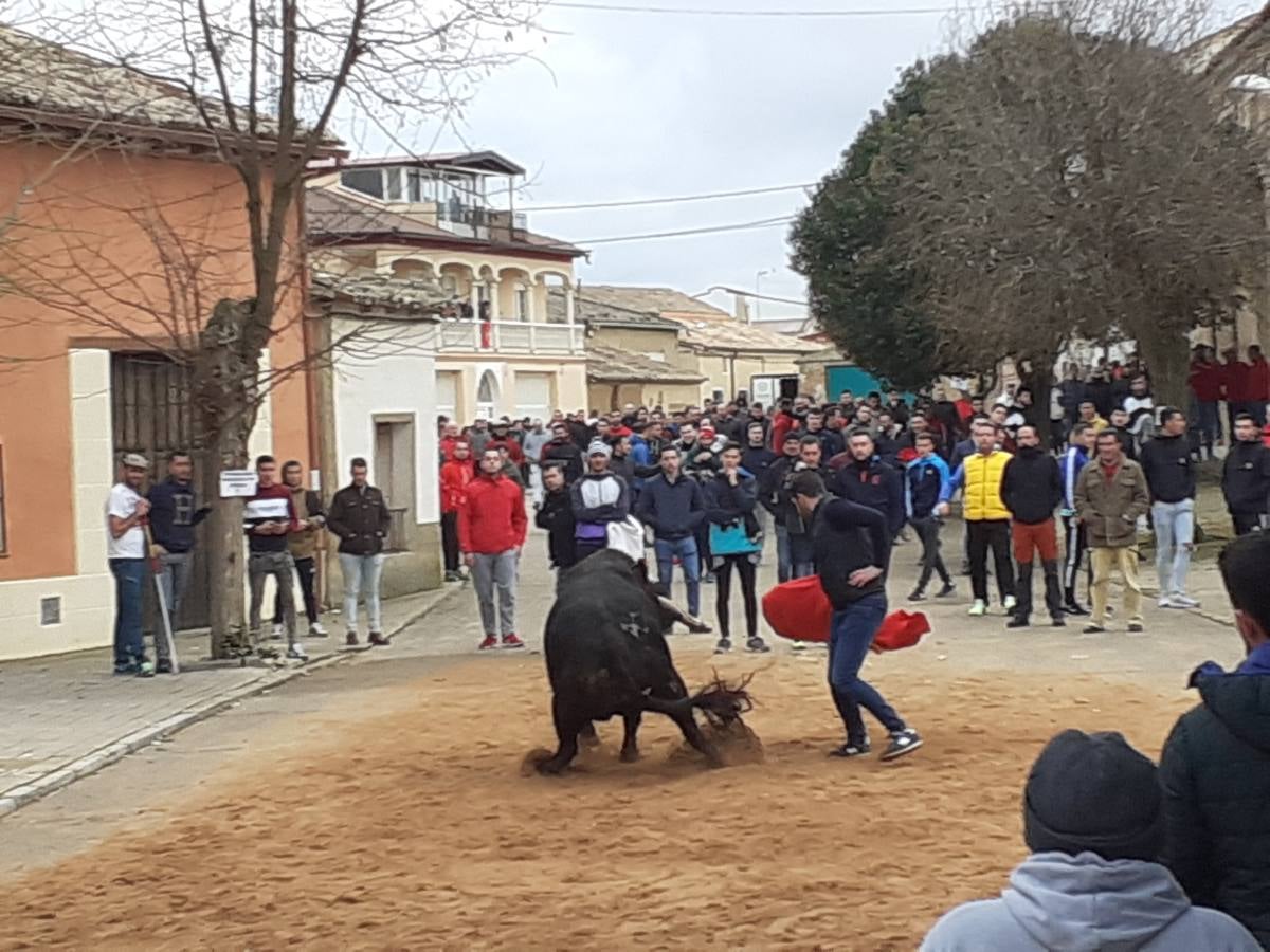 Fotos: Las imágenes del encierro de Villafrechós