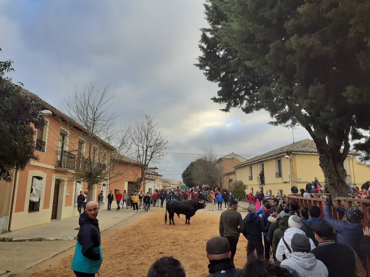 Fotos: Las imágenes del encierro de Villafrechós