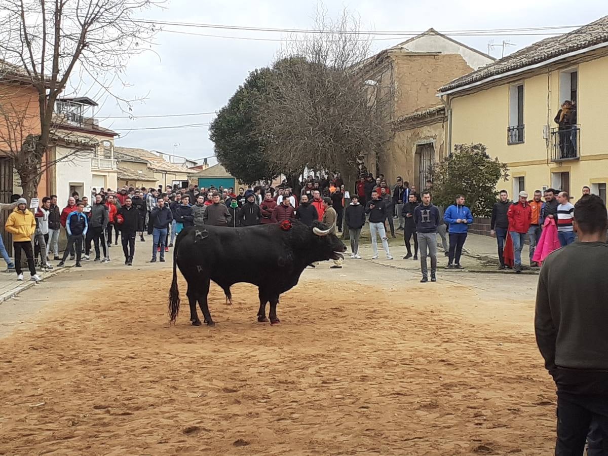 Fotos: Las imágenes del encierro de Villafrechós