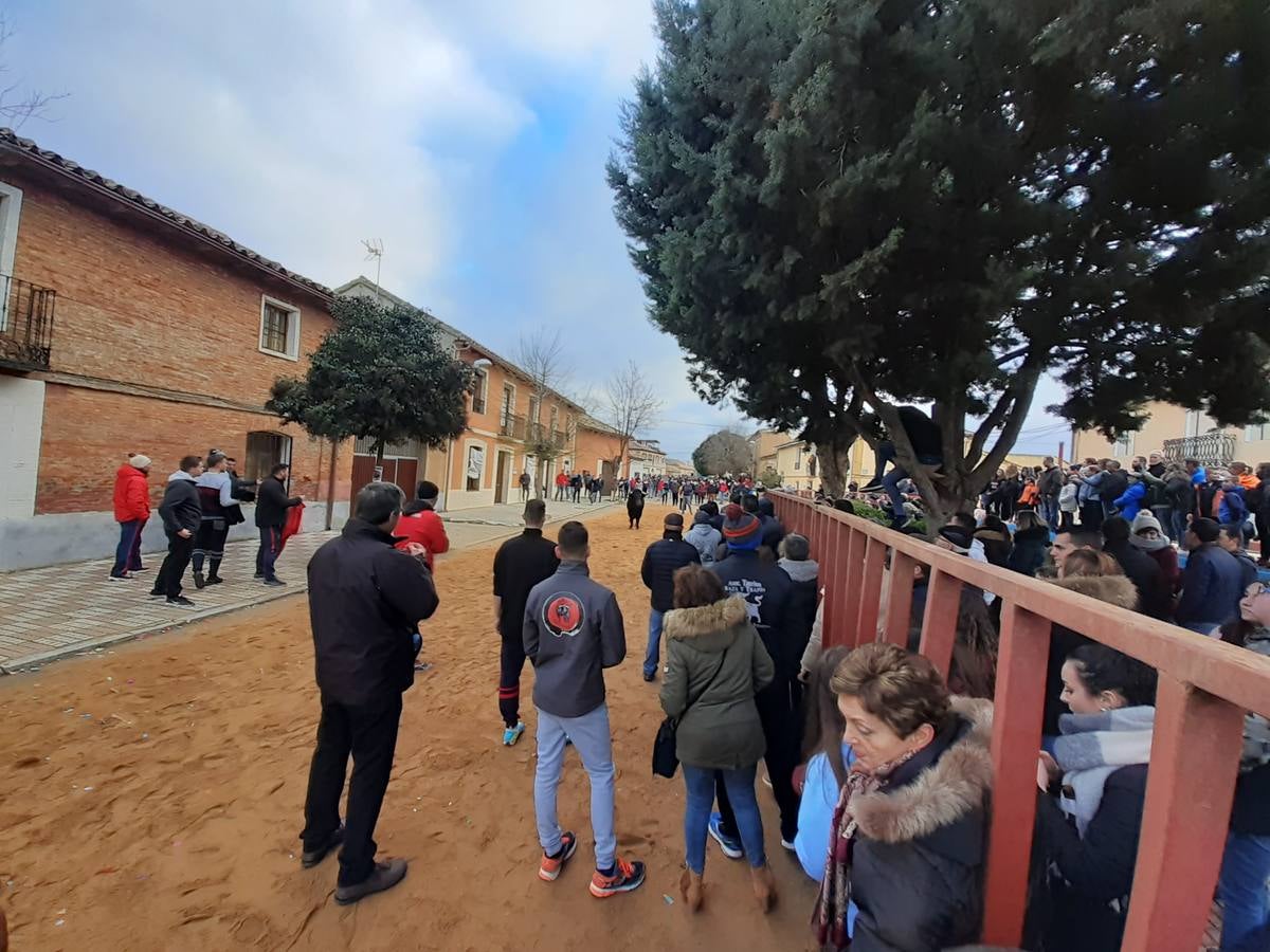 Fotos: Las imágenes del encierro de Villafrechós