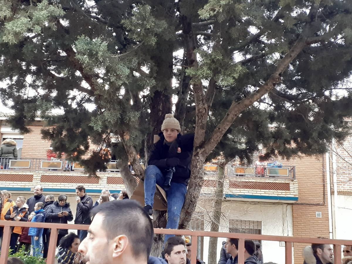 Fotos: Las imágenes del encierro de Villafrechós