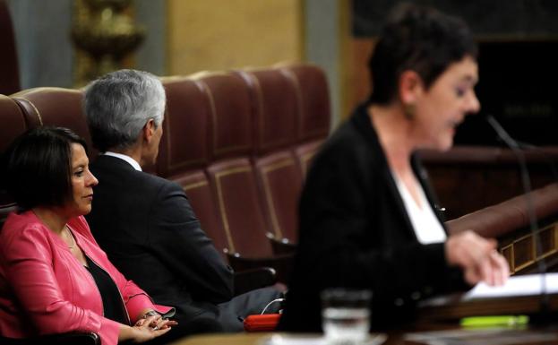 La portavoz de EH Bildu en el Congreso, Mertxe Aizpurua, durante su intervención.