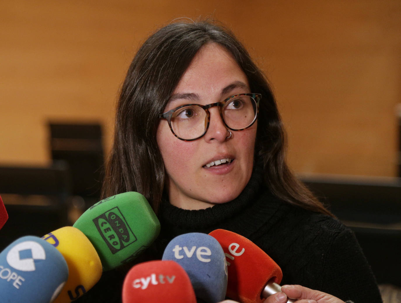 Las Cortes de Castilla y León han constituido este miércoles la comisión de investigación sobre las supuestas irregularidades en la autorización de parques eólicos, el caso de la Perla Negra y el polígono de Portillo, un foro que en la anterior legislatura enfrentó las posiciones del PP y Cs, ahora socios de gobierno.