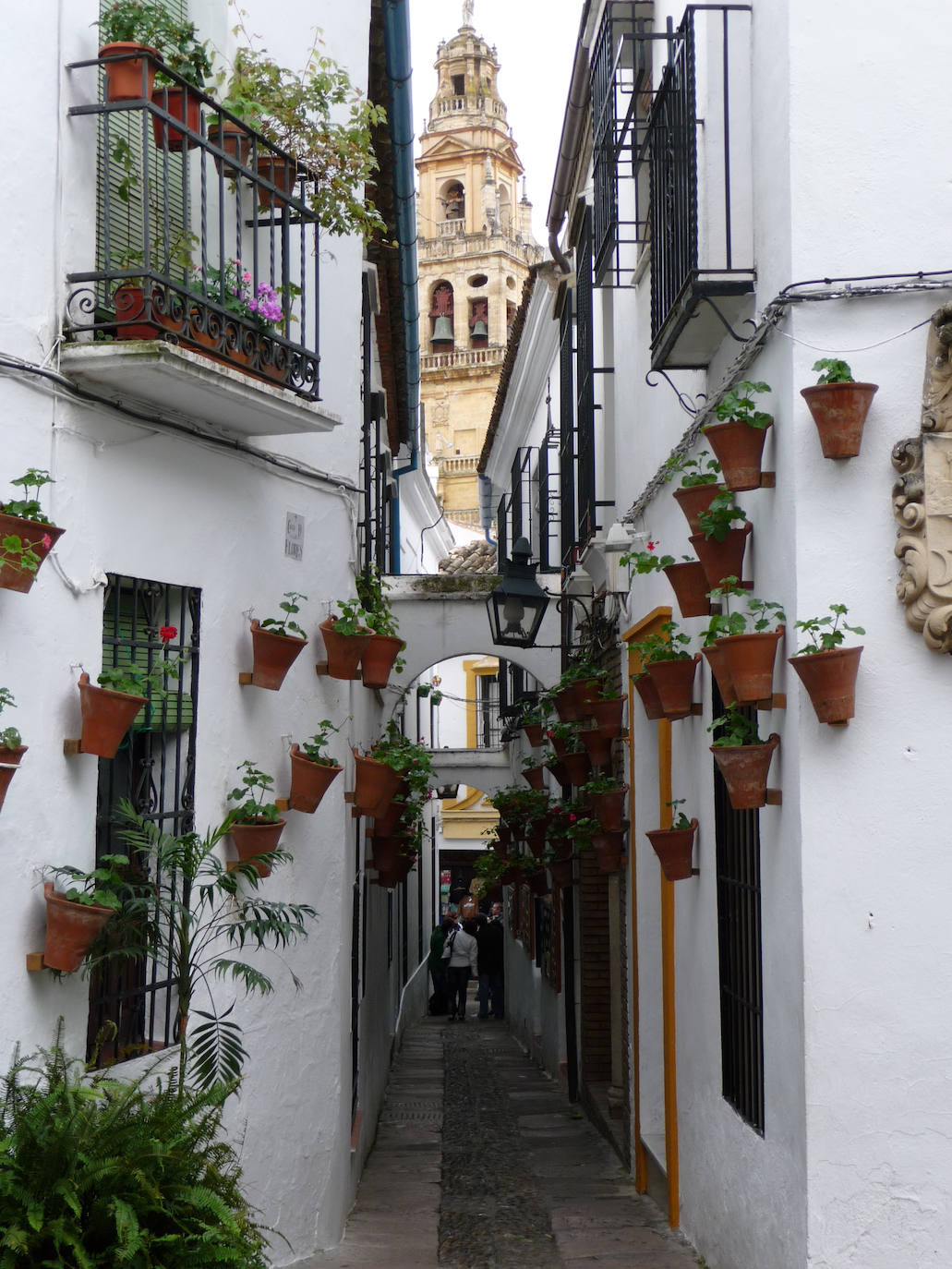 Calleja de las Flores (Córdoba).