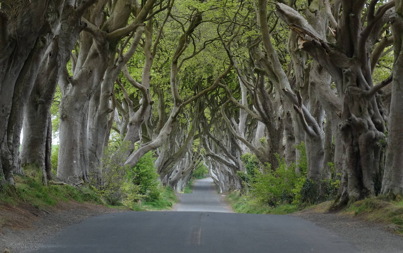 Bregagh Road (Ballymoney, Irlanda del Norte).