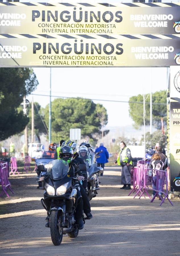 Fotos: Jornada del viernes en la concentración de Pingüinos