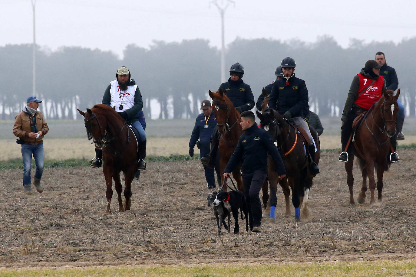 Miles de aficionados han esperado a que levantara la niebla para asistir a la primera jornada del Campeonato Nacional de Galgos. 