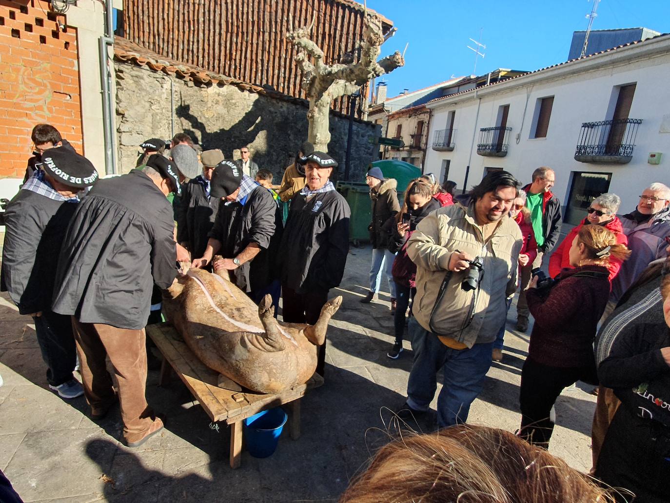 Fotos: Linares de Riofrío disfruta de su matanza tradicional