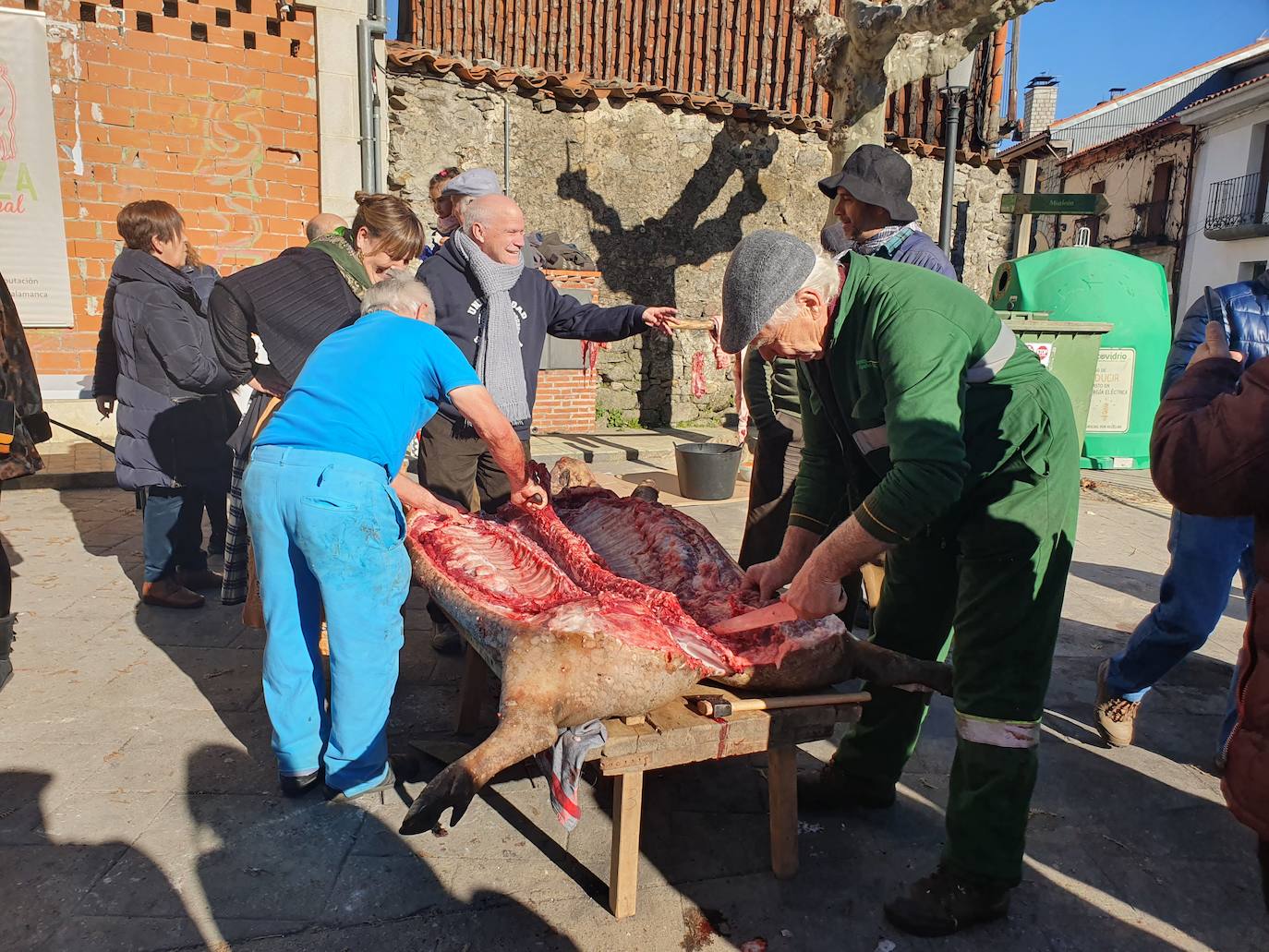 Fotos: Linares de Riofrío disfruta de su matanza tradicional