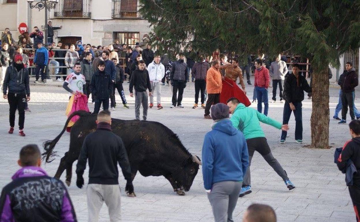 Un joven cita a una de las reses en una edición anterior de la fiesta.