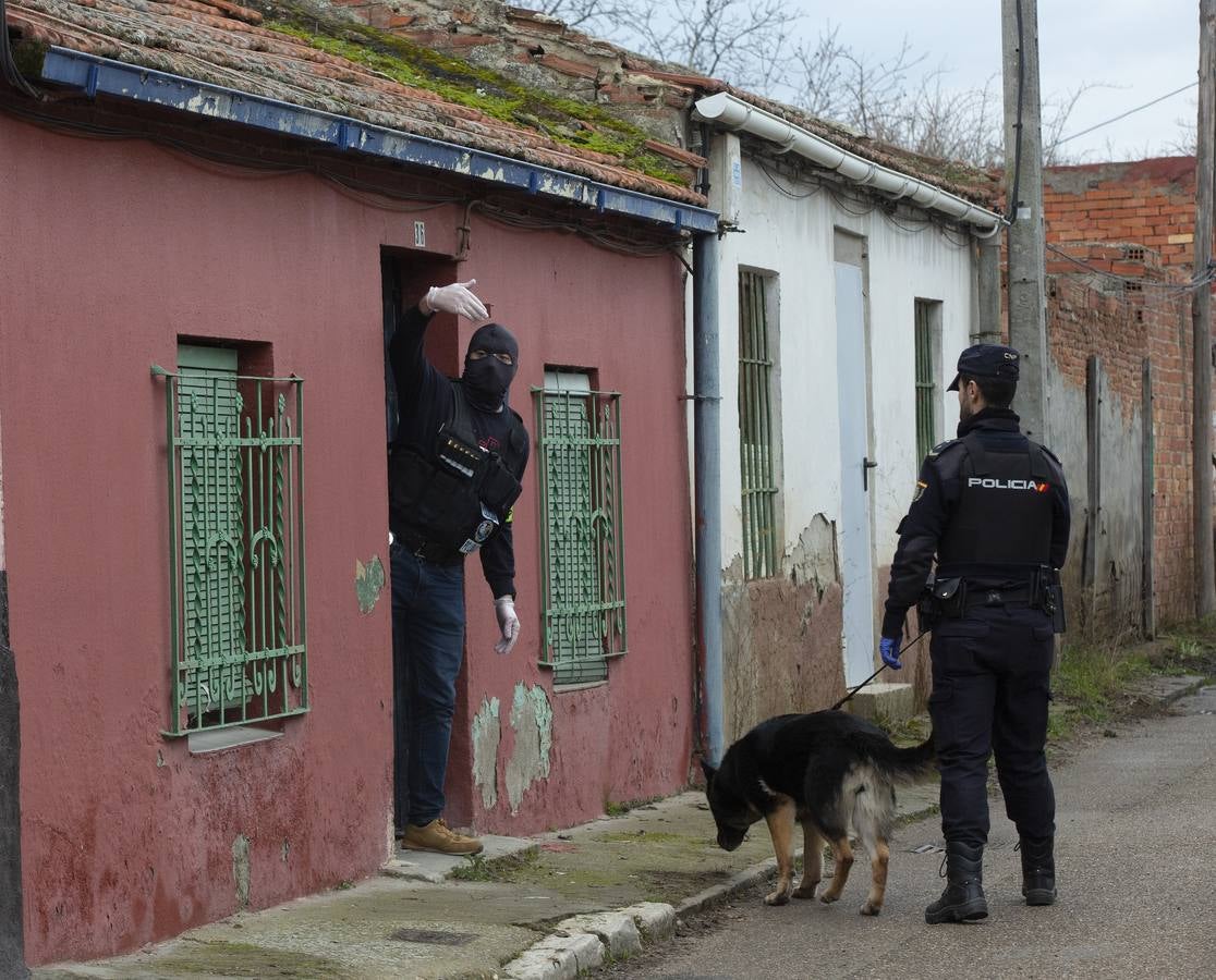 La labor conjunta de la Policía Nacional y la Guardia Civil ha llevado a los agentes a detener a seis sospechos y a relizar hasta cinco registros simultáneos tanto en la capital como en tres pueblos de la provincia