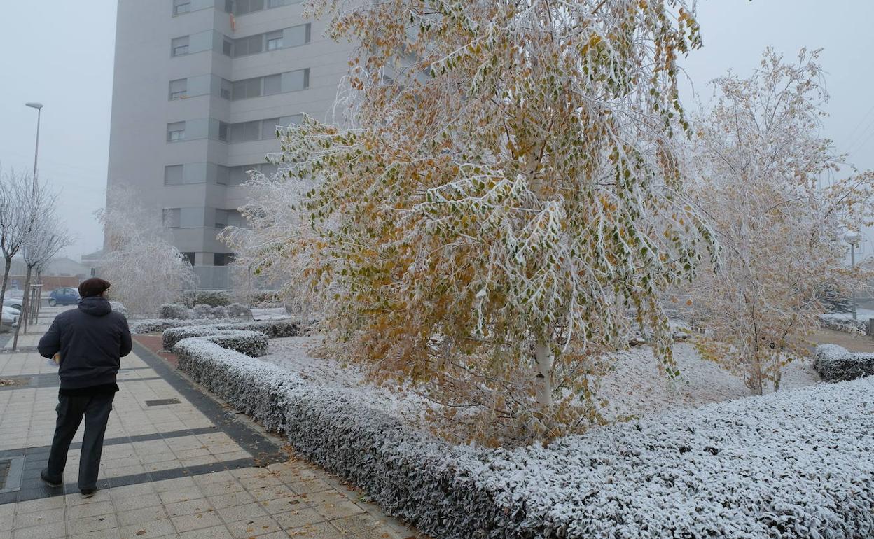 Cencellada en Valladolid. 