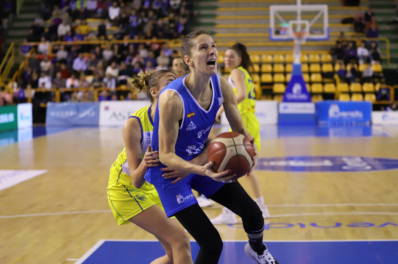 Fotos: Las imágenes del encuentro entre el CB Avenida y Cadí La Seu (71-61)