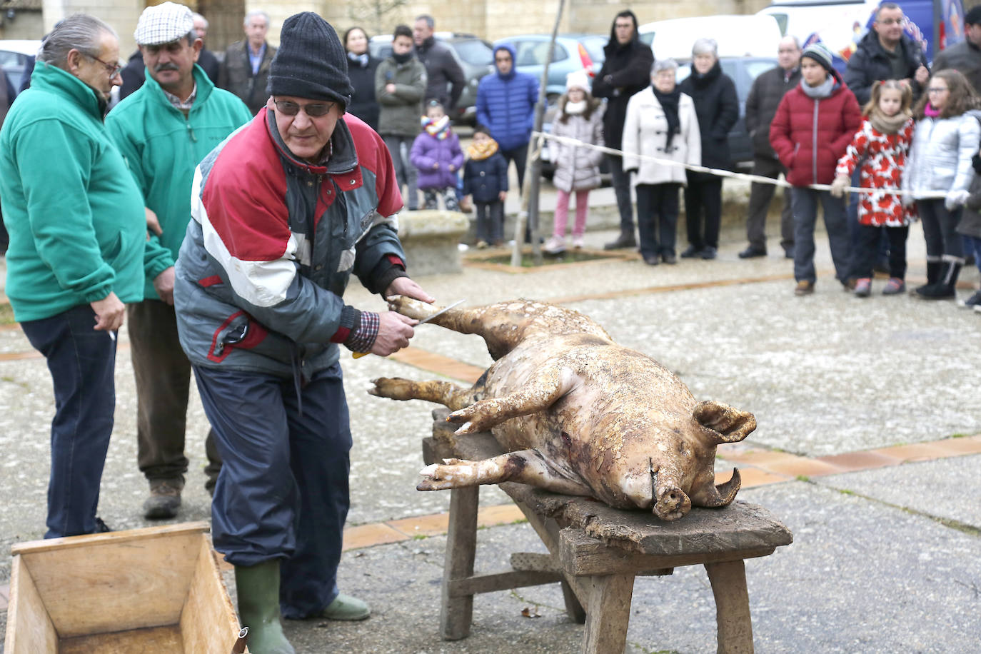 La matanza y reparto de jijas y morcilla en Becerril.