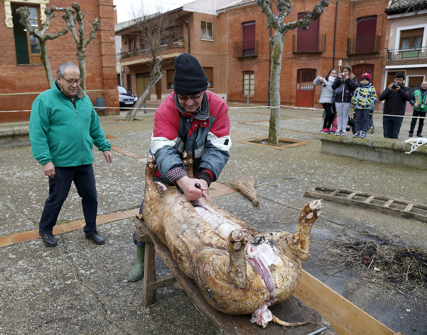 La matanza y reparto de jijas y morcilla en Becerril.