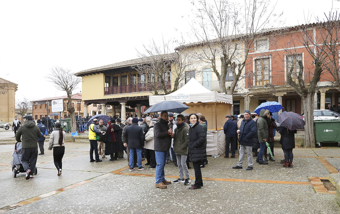 La matanza y reparto de jijas y morcilla en Becerril.