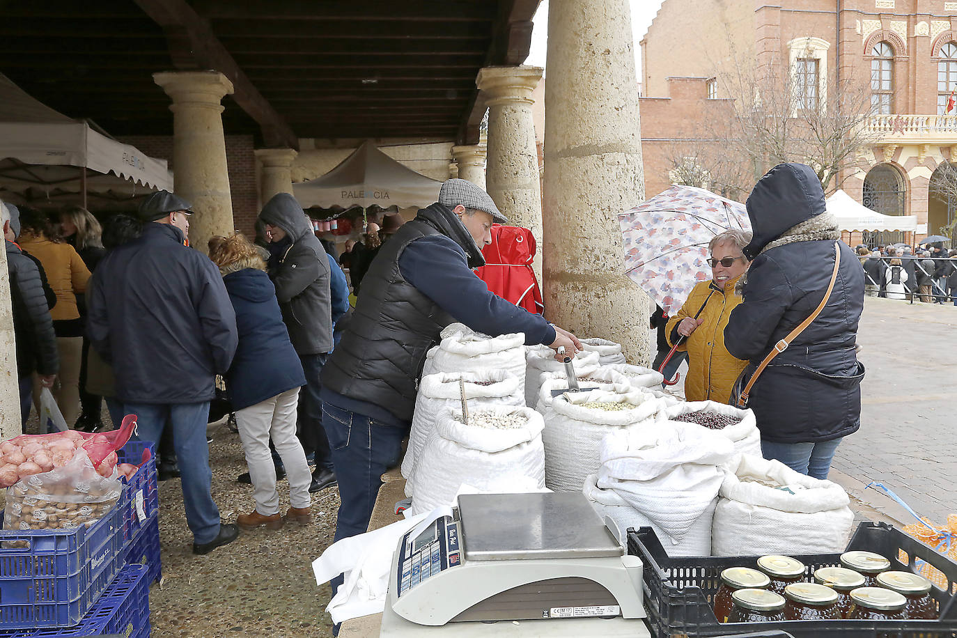 La matanza y reparto de jijas y morcilla en Becerril.