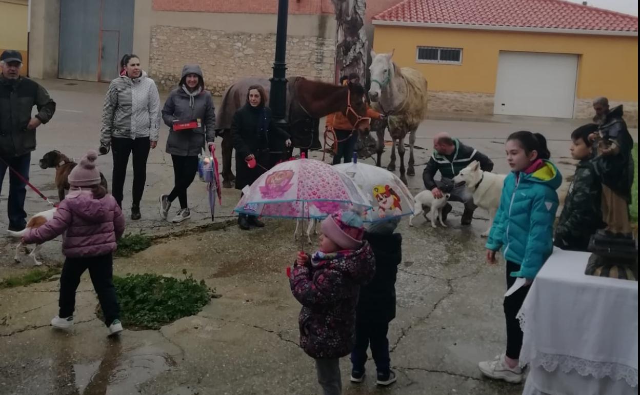 Bendición de San Antón a las puertas de la ermita de Ciguñuela . 