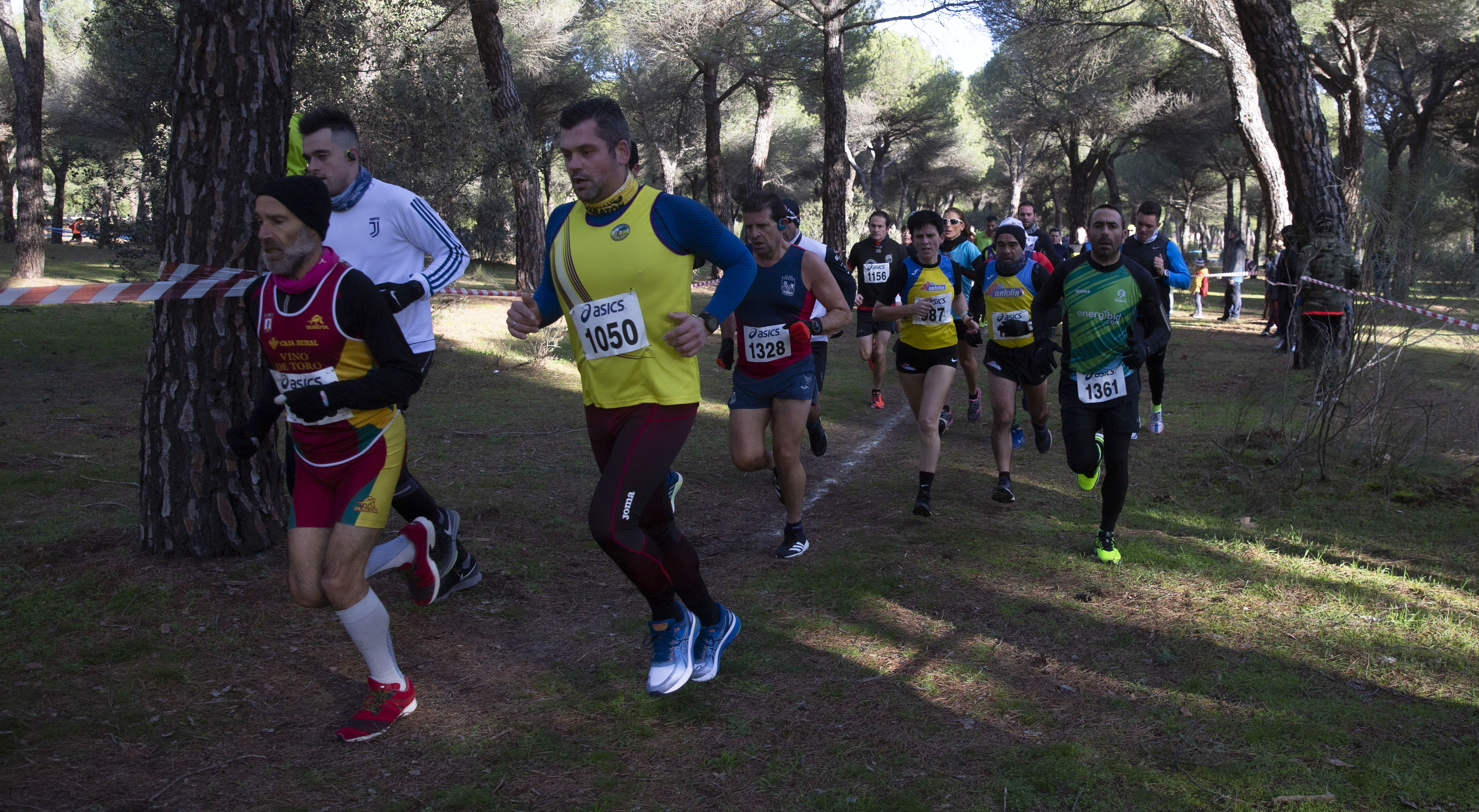 Fotos: Las imágenes del cross de San Antón