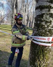 Imagen secundaria 2 - Los bomberos actúan en la Plaza Mayor de Valladolid (foto 1 y 2) y en el Paseo del Cid (foto 3).